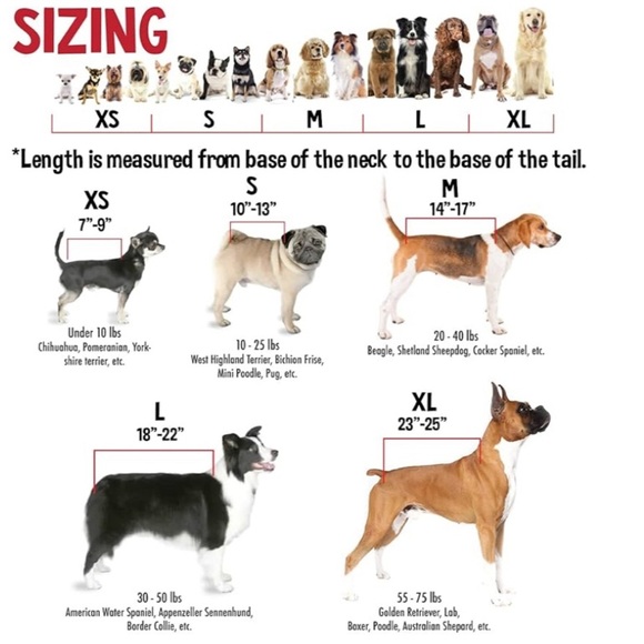 2 Lazy One dog t-shirts Bear & Stripes + SimplyDog Camo Jacket, size M - Picture 12 of 12